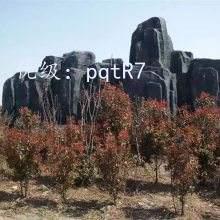 Ҹ
